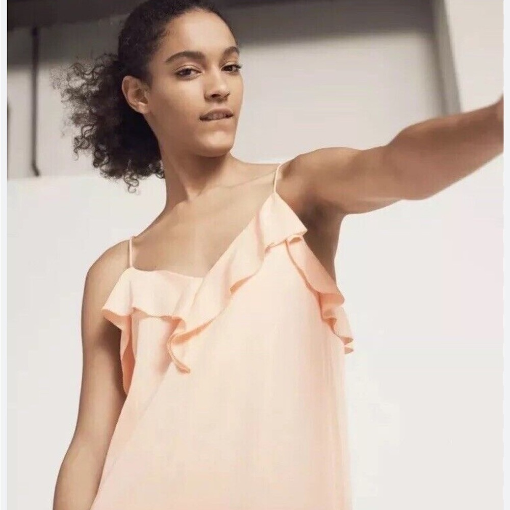 Rag & Bone | Silk Orchard Ruffle Mini Dress